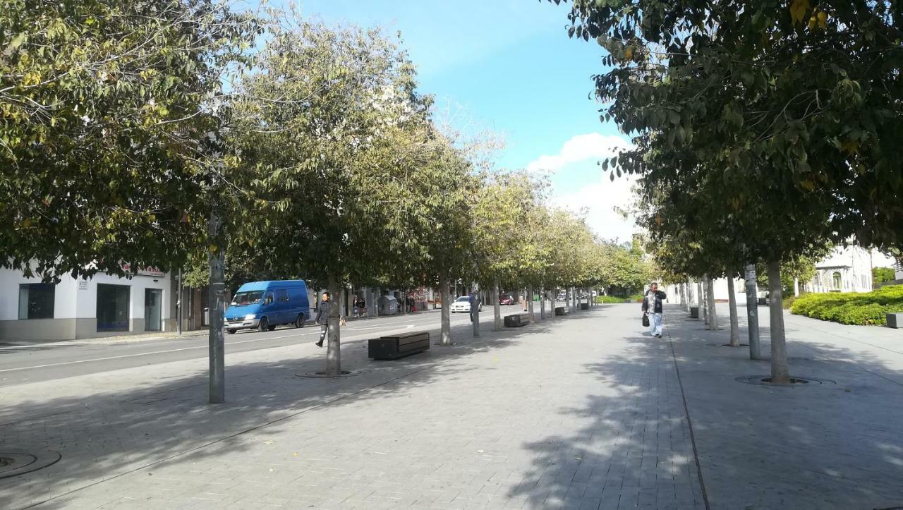Temporary Alicante Tm Экстерьер фото